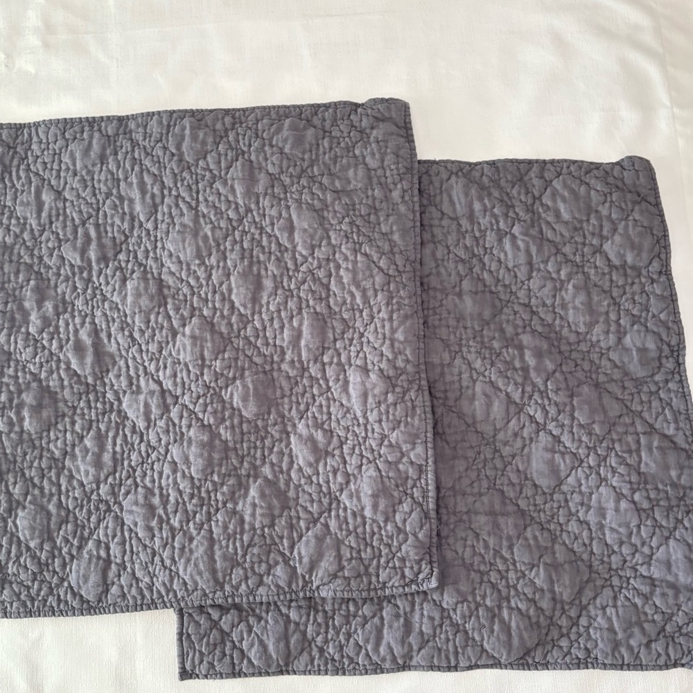 Pair TWO Euro‎ RH Belgian Flax Linen Pillow Shams